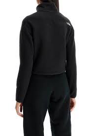 The North Face _thumbnail_2