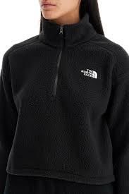 The North Face _thumbnail_3